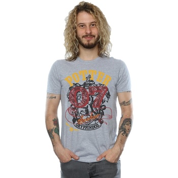 textil Hombre Camisetas manga larga Harry Potter Gryffindor Seeker Gris