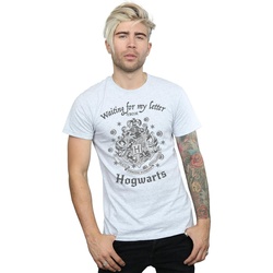 textil Hombre Camisetas manga larga Harry Potter Hogwarts Waiting For My Letter Gris