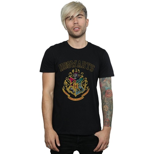 textil Hombre Camisetas manga larga Harry Potter Varsity Style Crest Negro
