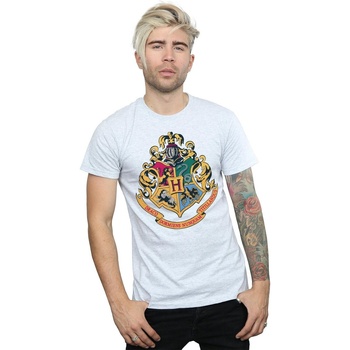textil Hombre Camisetas manga larga Harry Potter Hogwarts Crest Gold Ink Gris