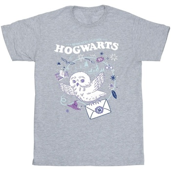 textil Hombre Camisetas manga larga Harry Potter Owl Letter From Hogwarts Gris