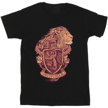 textil Hombre Camisetas manga larga Harry Potter Gryffindor Sketch Crest Negro