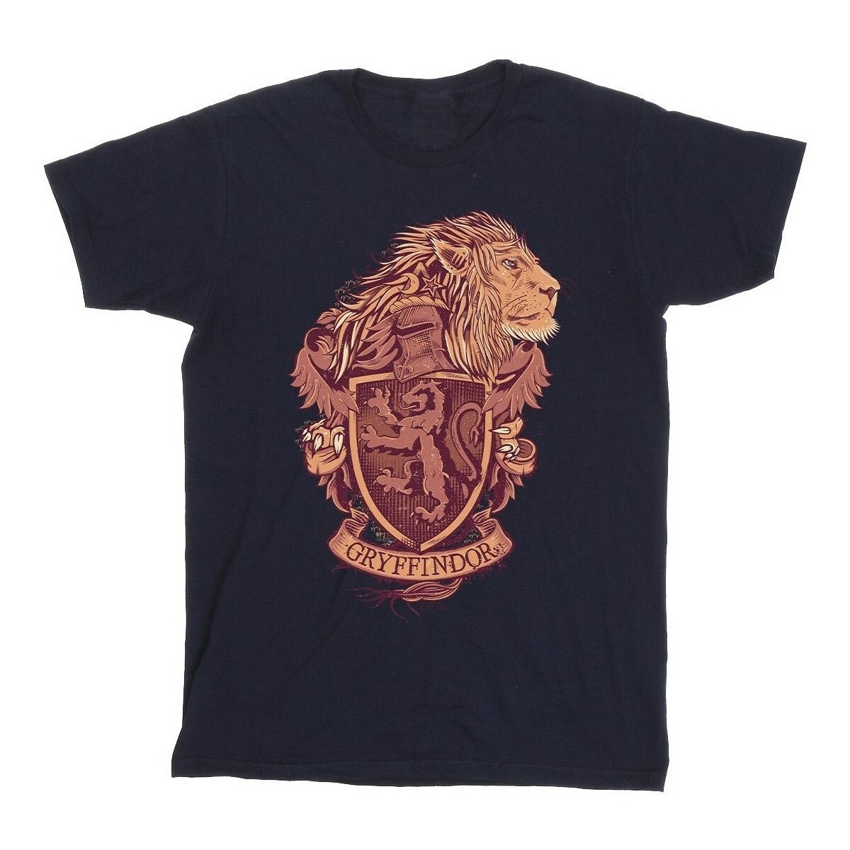 textil Hombre Camisetas manga larga Harry Potter Gryffindor Sketch Crest Azul