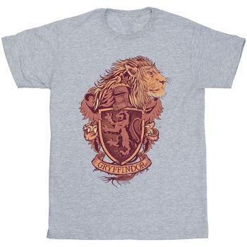 textil Hombre Camisetas manga larga Harry Potter Gryffindor Sketch Crest Gris