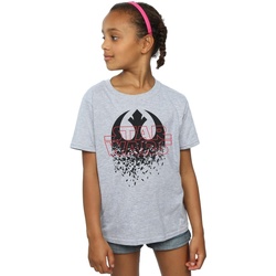 textil Niña Camisetas manga larga Disney The Last Jedi Shattered Emblem Gris