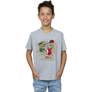 textil Niño Tops y Camisetas Dessins Animés Christmas Surprise Gris
