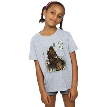 textil Niña Camisetas manga larga Disney The Last Jedi Japanese Chewbacca Porgs Gris