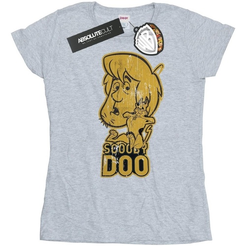 textil Mujer Camisetas manga larga Scooby Doo And Shaggy Gris