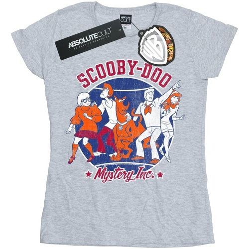 textil Mujer Camisetas manga larga Scooby Doo Collegiate Circle Gris