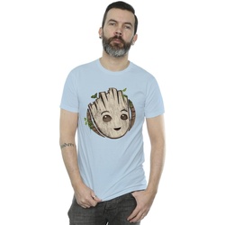 textil Hombre Camisetas manga larga Marvel I Am Groot Wooden Head Azul