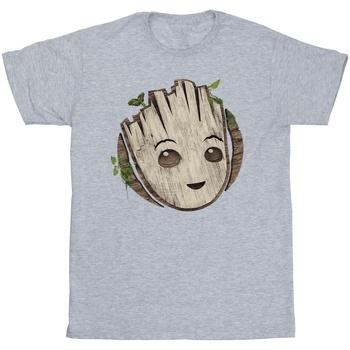 textil Hombre Camisetas manga larga Marvel I Am Groot Wooden Head Gris