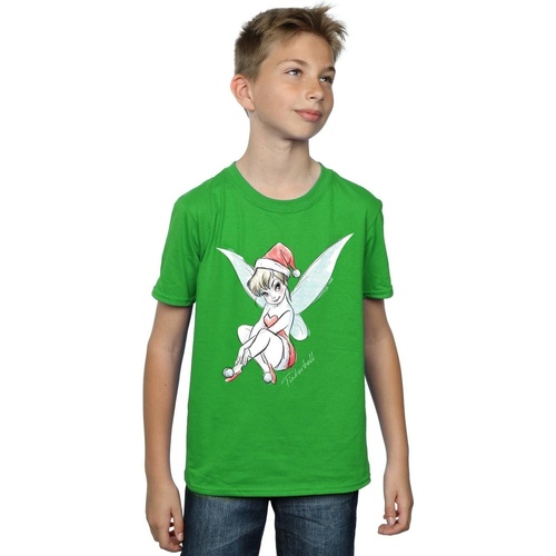 textil Niño Camisetas manga corta Disney Tinkerbell Christmas Fairy Verde