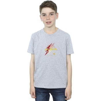 textil Niño Camisetas manga corta Dc Comics The Flash Lightning Logo Gris