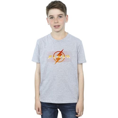 textil Niño Camisetas manga corta Dc Comics The Flash Red Lightning Gris