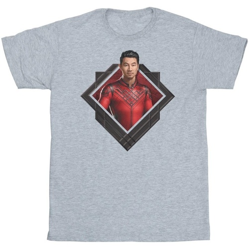 textil Mujer Camisetas manga larga Marvel Shang-Chi And The Legend Of The Ten Rings Photo Crest Gris