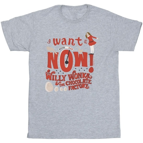 textil Niño Camisetas manga corta Willy Wonka Verruca Salt I Want It Now Gris