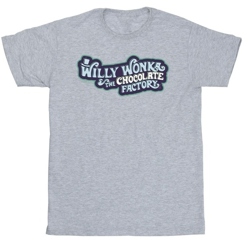 textil Niño Camisetas manga corta Willy Wonka Chocolate Factory Logo Gris
