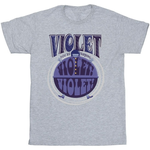textil Niño Camisetas manga corta Willy Wonka Violet Turning Violet Gris