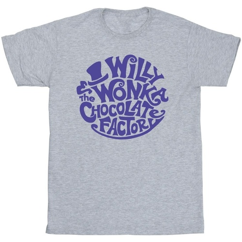 textil Niño Camisetas manga corta Willy Wonka & The Chocolate Fact Typed Logo Gris