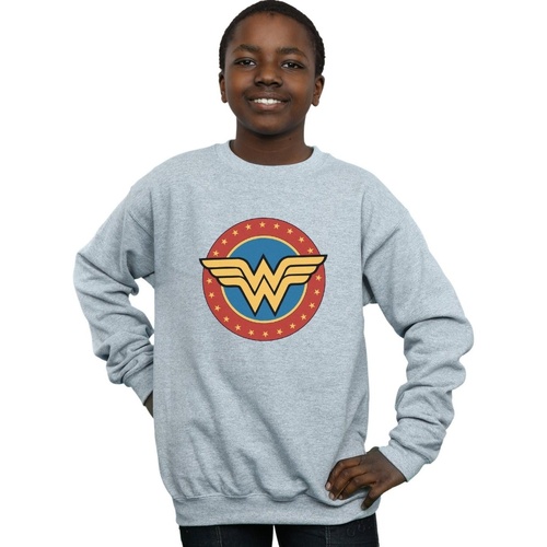 textil Niño Sudaderas Dc Comics Wonder Woman Circle Logo Gris