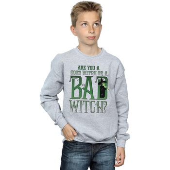 textil Niño Sudaderas The Wizard Of Oz Good Witch Bad Witch Gris