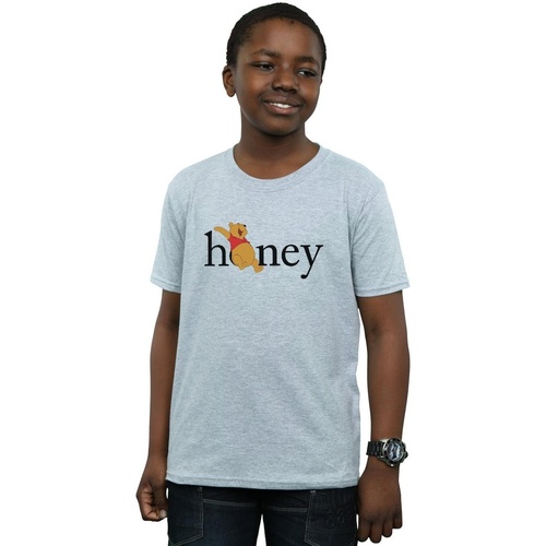textil Niño Camisetas manga corta Disney Winnie The Pooh Honey Gris