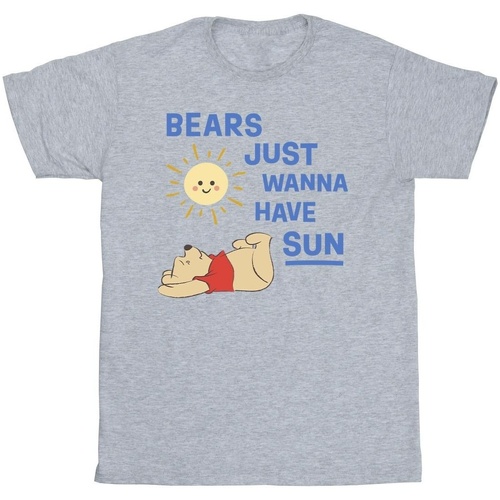 textil Niño Camisetas manga corta Disney Winnie The Pooh Bears Just Wanna Have Sun Gris