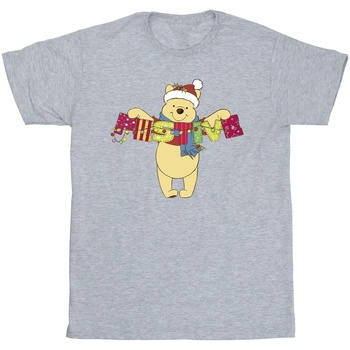 textil Niño Camisetas manga corta Disney Winnie The Pooh Festive Gris