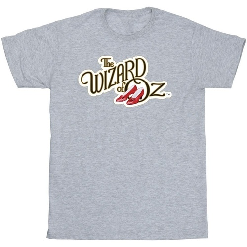 textil Niño Camisetas manga corta The Wizard Of Oz Shoes Logo Gris