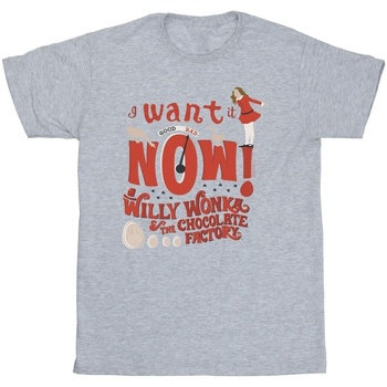textil Niña Camisetas manga larga Willy Wonka Verruca Salt I Want It Now Gris