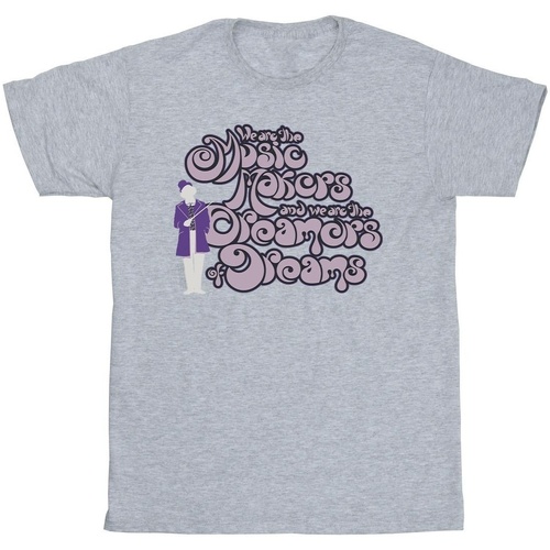 textil Niña Camisetas manga larga Willy Wonka Dreamers Text Gris