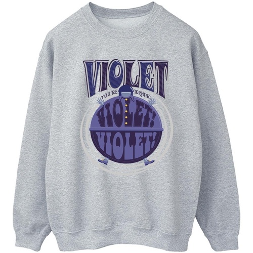textil Mujer Sudaderas Willy Wonka Violet Turning Violet Gris
