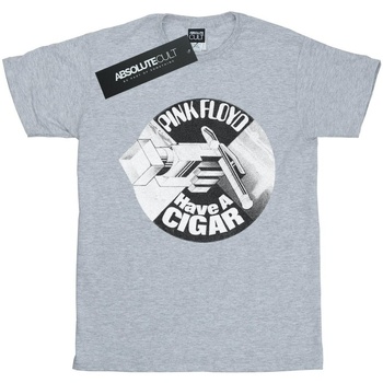 textil Mujer Camisetas manga larga Pink Floyd Have A Cigar Gris