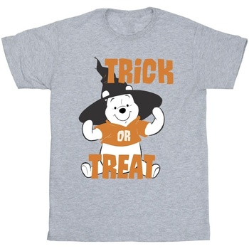 textil Niña Camisetas manga larga Disney Winnie The Pooh Trick Or Treat Gris