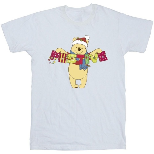 textil Niña Camisetas manga larga Disney Winnie The Pooh Festive Blanco