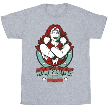 textil Niña Camisetas manga larga Dc Comics Wonder Woman Wonderful Mum Gris