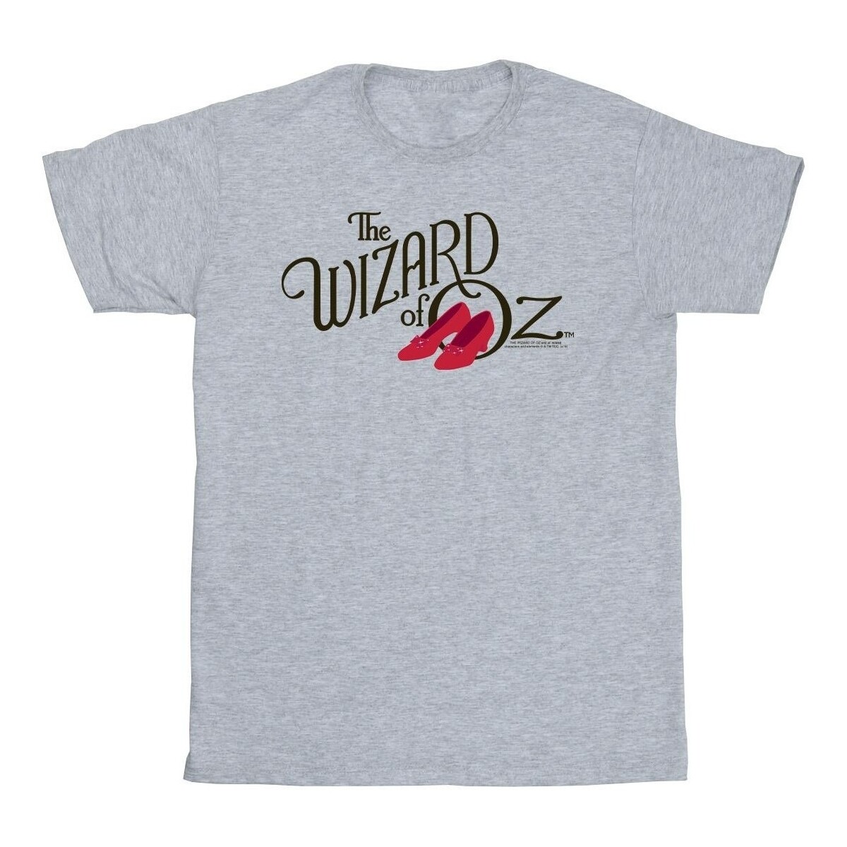 textil Niña Camisetas manga larga The Wizard Of Oz Ruby Slippers Logo Gris