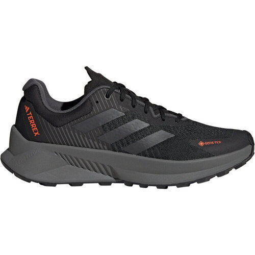 Zapatos Hombre Running / trail adidas Originals TERREX SOULSTRIDE FLOW GTX Negro