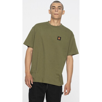 textil Hombre Tops y Camisetas Santa Cruz Classic label t-shirt Verde
