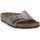 Zapatos Mujer Zuecos (Mules) Birkenstock CATALINA TAUPE CALZ S Marrón
