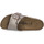 Zapatos Mujer Zuecos (Mules) Birkenstock CATALINA TAUPE CALZ S Marrón