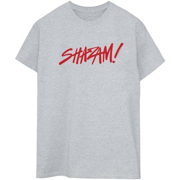 textil Mujer Camisetas manga larga Dc Comics Shazam Fury Of The Gods Spray Paint Logo Gris