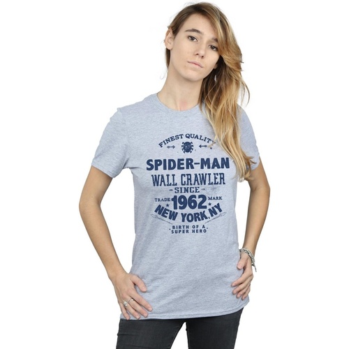 textil Mujer Camisetas manga larga Marvel Spider-Man Finest Quality Gris