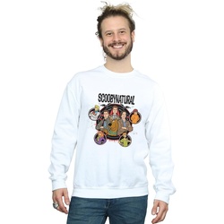 textil Hombre Sudaderas Scoobynatural Characters Star Blanco