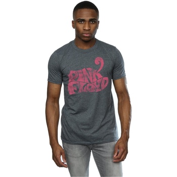 textil Hombre Camisetas manga larga Pink Floyd Retro Logo Gris