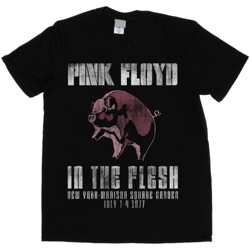 textil Hombre Camisetas manga larga Pink Floyd In The Flesh Negro