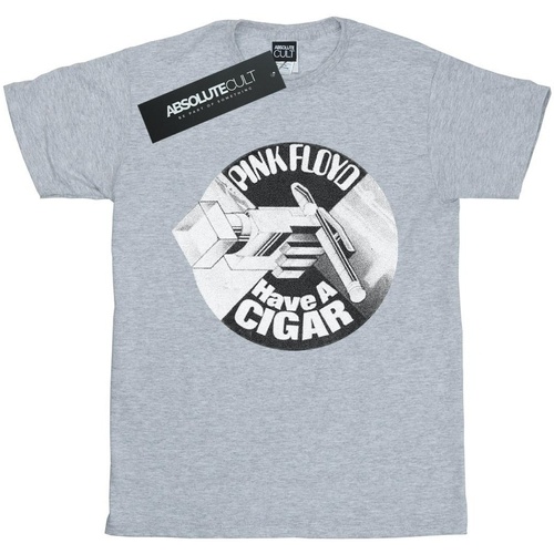textil Hombre Camisetas manga larga Pink Floyd Have A Cigar Gris