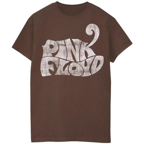 textil Hombre Camisetas manga larga Pink Floyd Logo 70s Multicolor