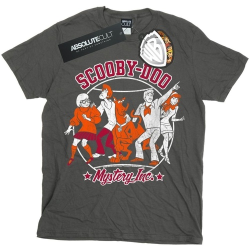 textil Hombre Camisetas manga larga Scooby Doo Collegiate Circle Multicolor