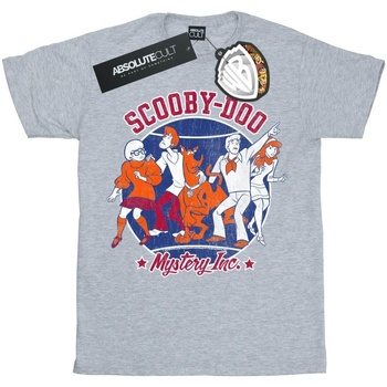 textil Hombre Camisetas manga larga Scooby Doo Collegiate Circle Gris